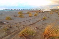 8°-edizione-de-il-senso-dei-luoghi-Dune-Angitola_10